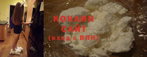 МДПВ Нефтегорск