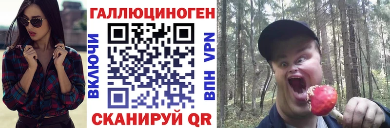 Псилоцибиновые грибы Psilocybe  Оленегорск 
